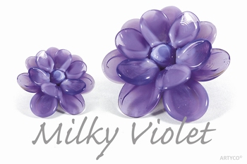 Asian Milky Violet 250 gram