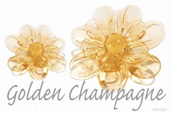 Asian Golden Champagne 250 gram
