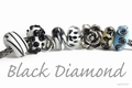 Bella Donna Black Diamond