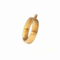 Changeable stainless steel ring brushed finished, gold color 16,5